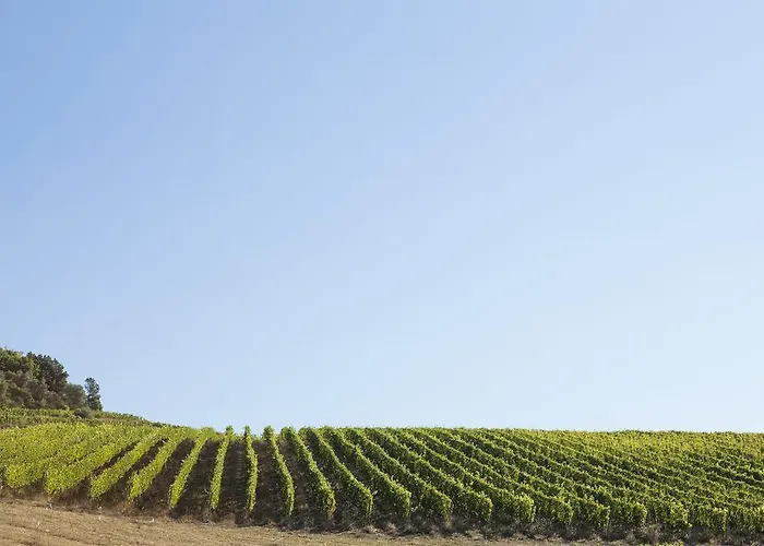 Vakantieboerderij Quercia Al Poggio *