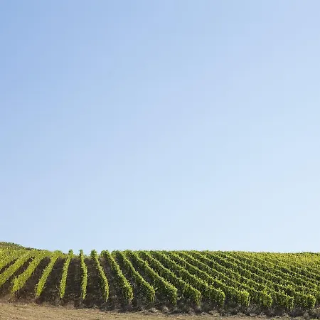 Bauernhof Quercia Al Poggio *
